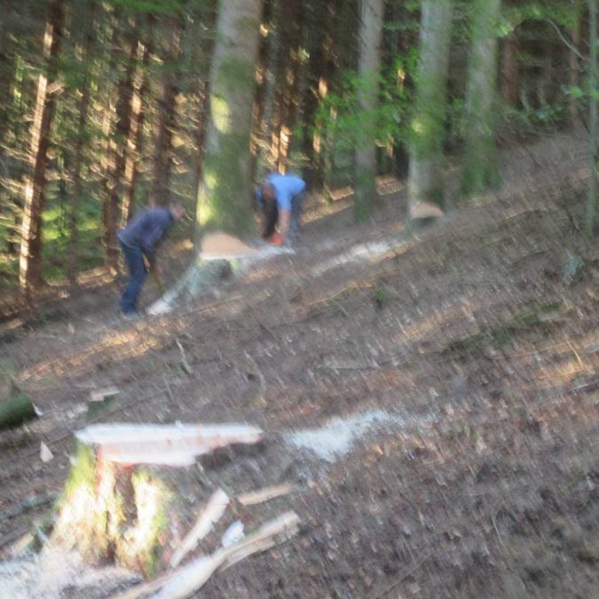 Terrassement Luxeuil-les-Bains 15