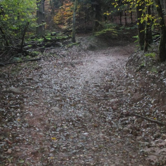 Terrassement Lur&eacute; 8