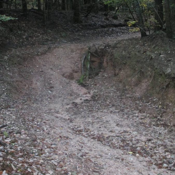 Terrassement Vittel 7