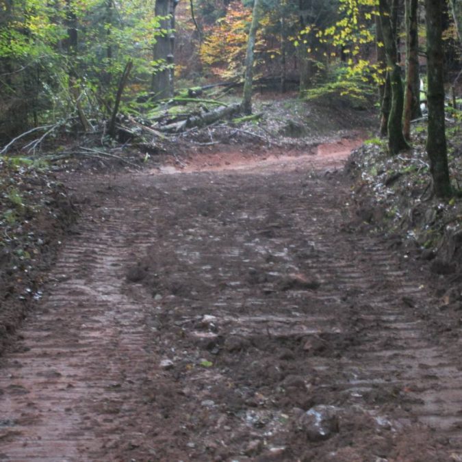 Terrassement Thaon-les-Vosges 10