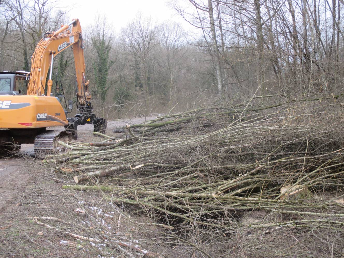 Comment se d&eacute;roule le terrassement d&rsquo;un chemin de for&ecirc;t ? &Eacute;pinal